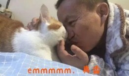 吃瓜猫抖音网红,抖音网红的美食之旅