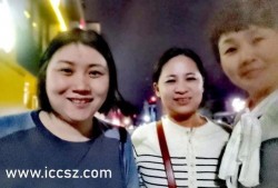 雷子爆料苏菲视频大全,苏菲视频大全背后的惊人真相